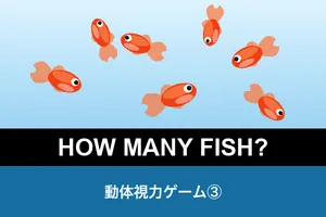 動体視力ゲーム③（金魚は何匹いる？）
