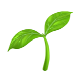 🌱