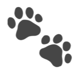 🐾