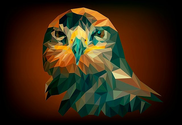 JigsawPuzzle's design:Hawk staring at us