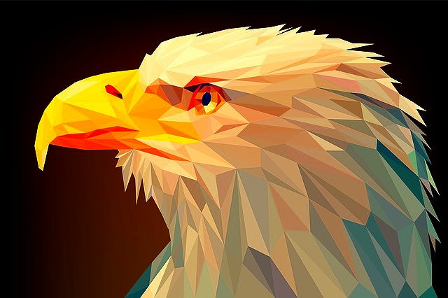 JigsawPuzzle's design:Eagle gazing into the distance