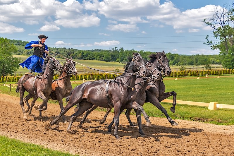 JigsawPuzzle's design:Jockey and horse