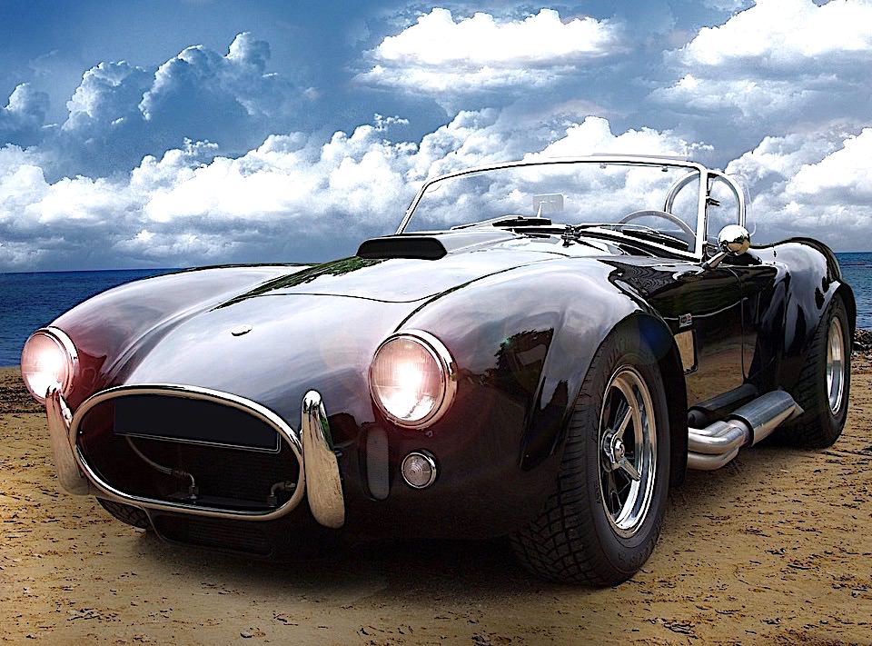 JigsawPuzzle's design:Black Cobra