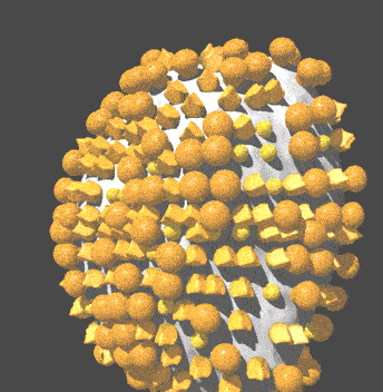 JigsawPuzzle's design:3D Visualization of Influenza Virus