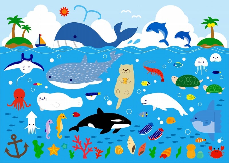 JigsawPuzzle's design:Illustration of Sea Creatures