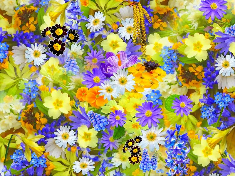 JigsawPuzzle's design:Vibrant Flowers
