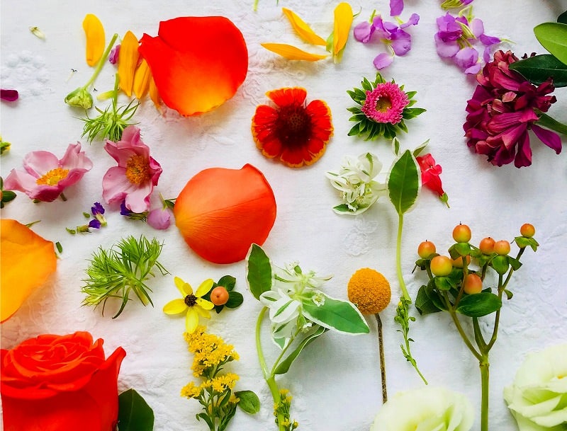 JigsawPuzzle's design:Petal Arrangement