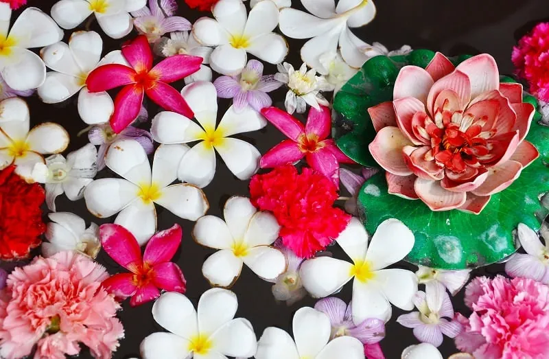ジグソーパズルのヒント:色とりどりの花たち