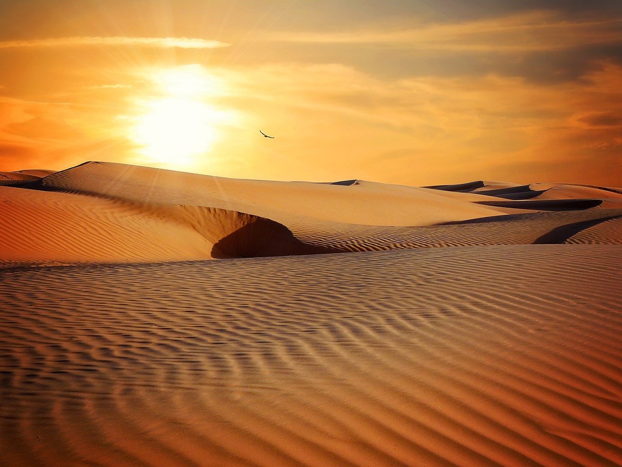 JigsawPuzzle's design:Desert Sunset