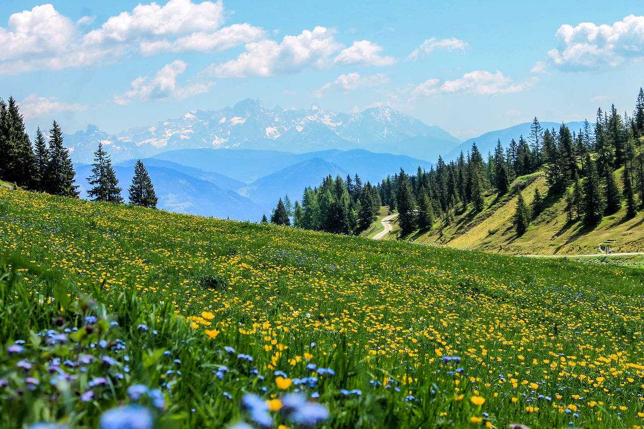 JigsawPuzzle's design:Alpine Meadow