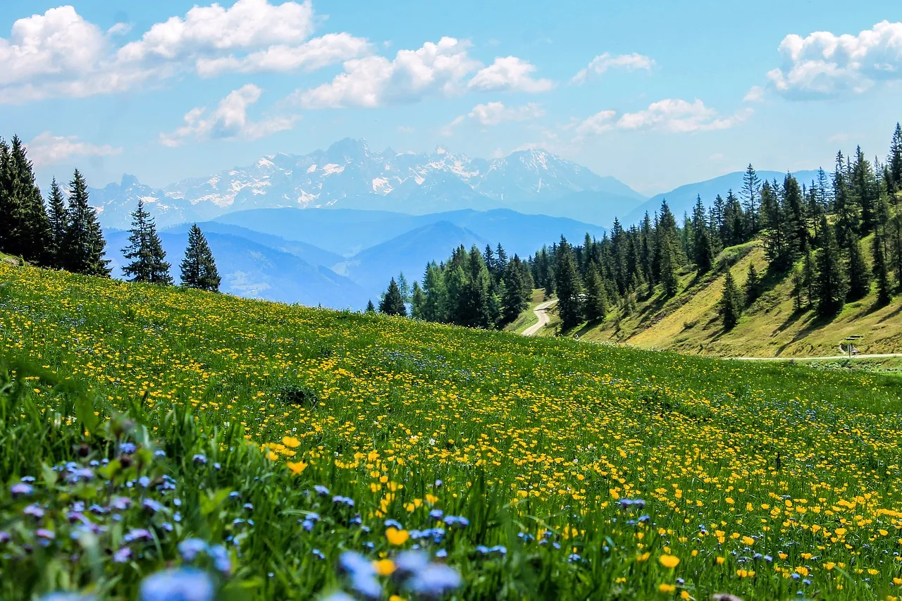 ジグソーパズルのヒント:アルプス山脈の花畑