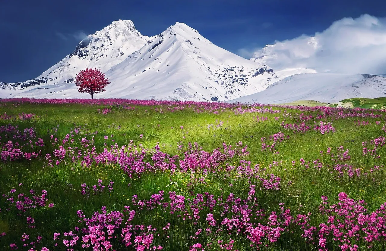 ジグソーパズルのヒント:雪山と花