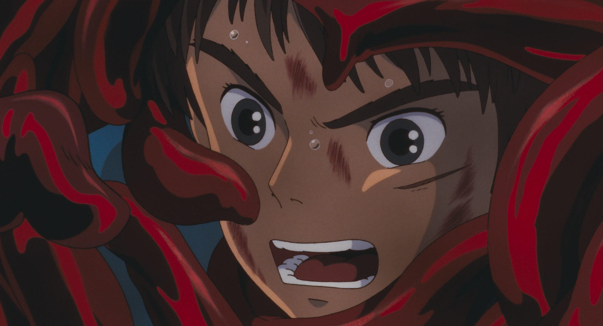 JigsawPuzzle's design:Princess Mononoke 038