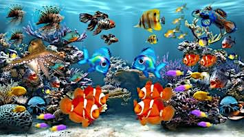 Free Online Jigsaw Puzzle:World of Tropical Fish