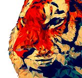 Free Online Jigsaw Puzzle 'Tiger focused on its prey'