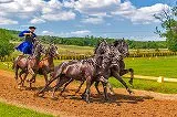 無料ジグソーパズルゲーム「騎手と馬」