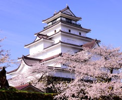 Free Online Jigsaw Puzzle:Tsuruga Castle and Cherry Blossoms