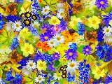 Free Online Jigsaw Puzzle:Vibrant Flowers