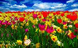 Free Online Jigsaw Puzzle:Flower Field