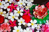 Free Online Jigsaw Puzzle:Colorful Flowers