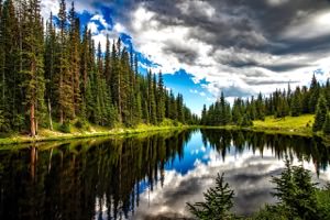 Nature Jigsaw Puzzle
