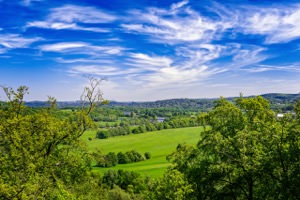 Nature Jigsaw Puzzle