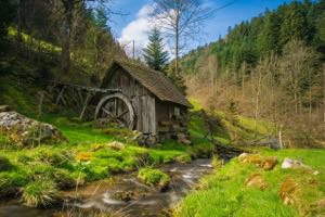 Nature Jigsaw Puzzle