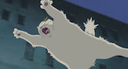 Ghibli 'The Cat Returns' Jigsaw Puzzle (Free browser game)