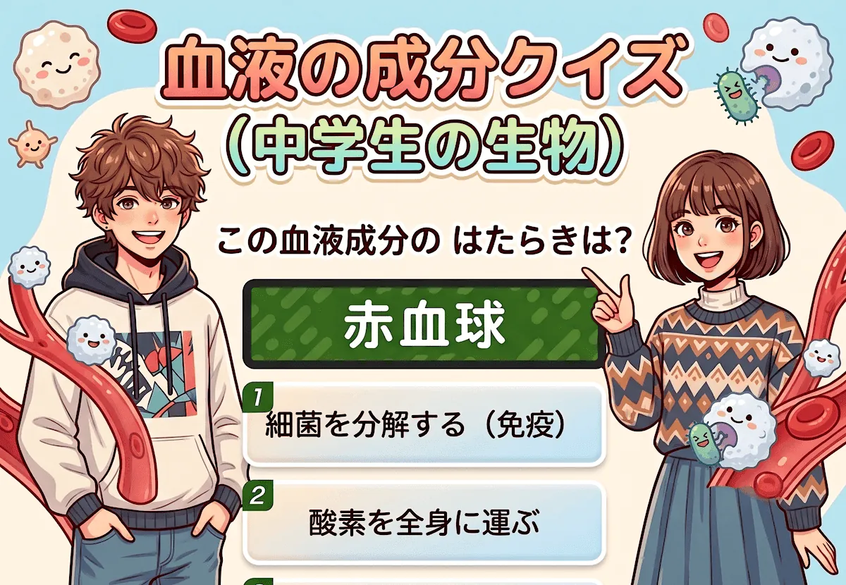 血液の成分クイズ（中学生向け）