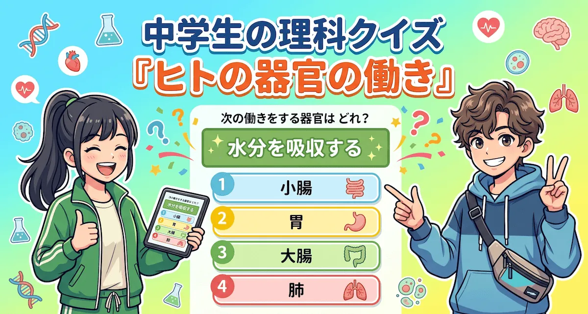ヒトの器官の働きクイズ(中学生向け)